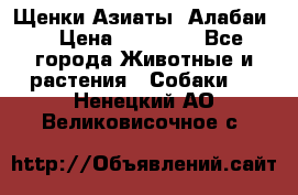 Щенки Азиаты (Алабаи) › Цена ­ 20 000 - Все города Животные и растения » Собаки   . Ненецкий АО,Великовисочное с.